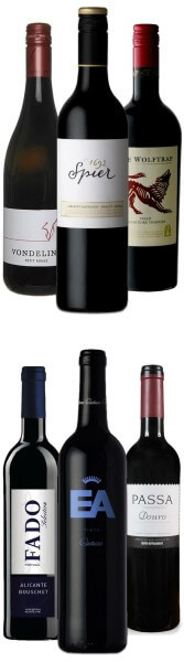 Kennenlernpaket von zwei Kaps