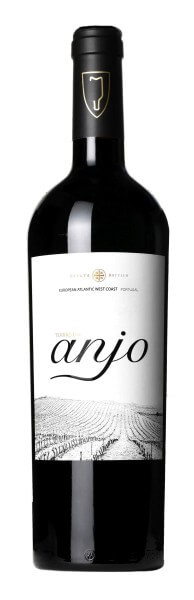 Quinta do Pinto Terras do Anjo Tinto 2013