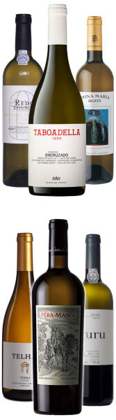 Große Weiße aus Portugal