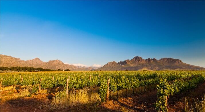 Journey's End Vineyards