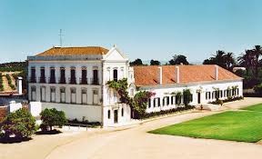 Julio Bastos - Dona Maria Vinhos