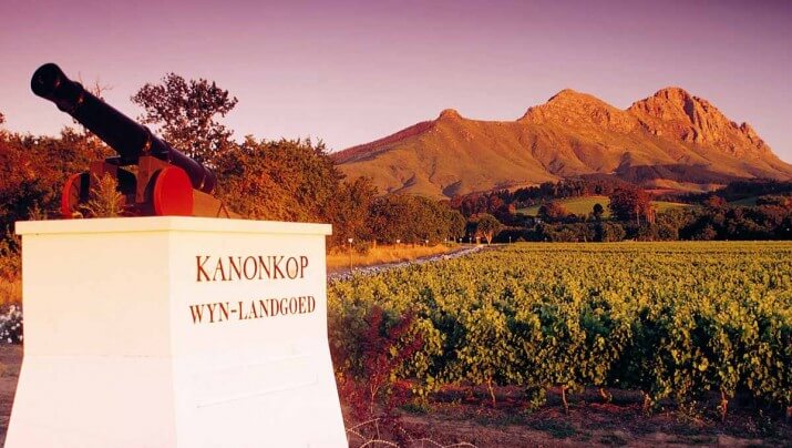 Kanonkop