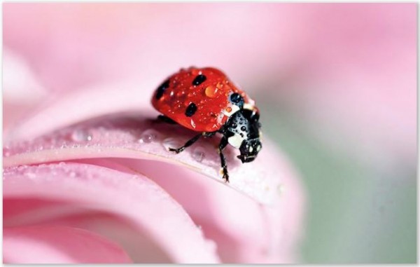 Karte "Mit besten Wünschen"