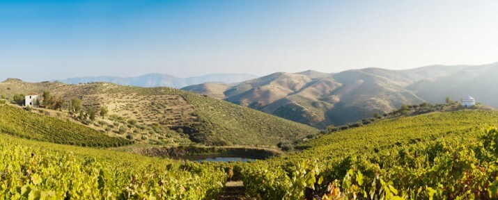 Rui Roboredo Madeira Vinhos