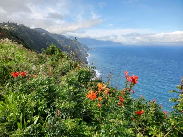Madeira Wine Company