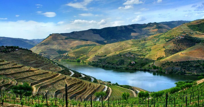 Quinta da Carvalhosa